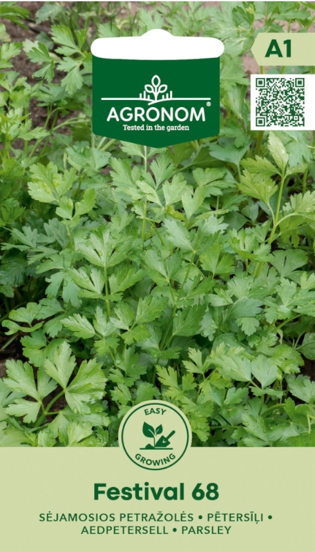 Pietruszka naciowa Festival 68 odmiana bardzo plenna i aromatyczna nasiona 2g AGRONOM sklep rajogrodnika